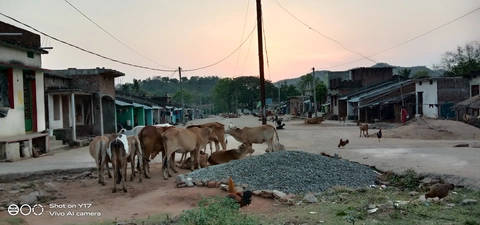 12. ନାଜୁ ଆଟ୍ଟେଲ୍‌ତାୱା କଡିଙ୍ଗ୍‌.