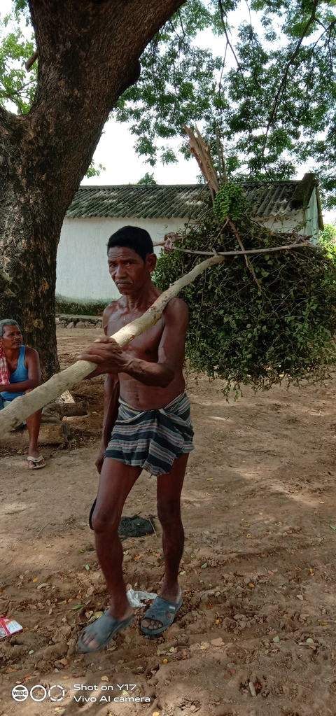 6. ବୁଡ୍ଡା ଜାଟ୍ଟି ଡେକାନ୍‌