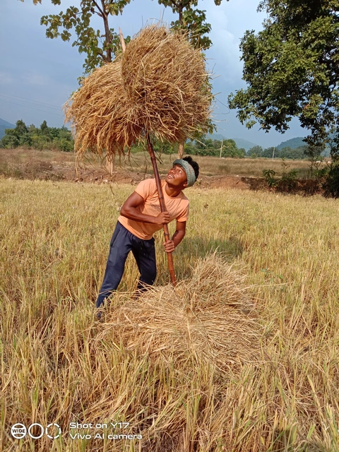 2. ୱେହା ଡେକନ୍‌.