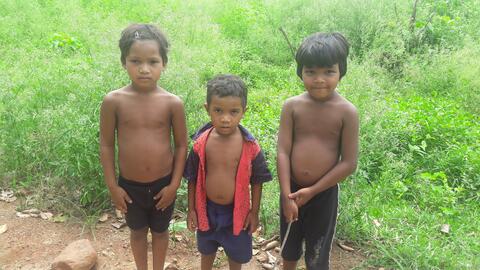 ଡ଼ାୱିକ୍ କୁଇ ବଦାଙ୍ଗ୍‌.