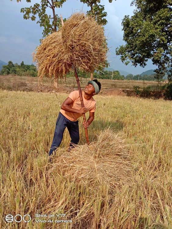 2. ୱେହା ଡେକନ୍‌.